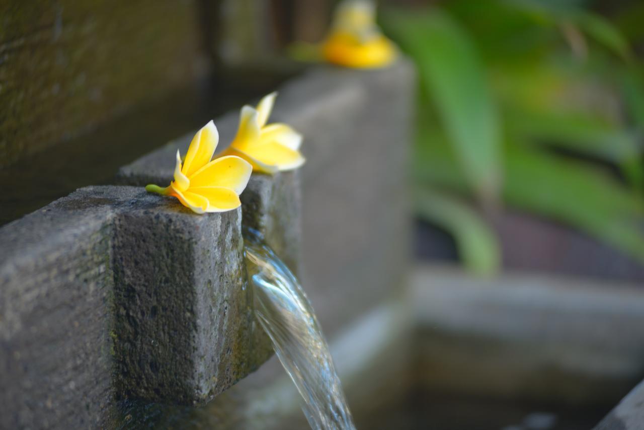 Andari Legian Hotel Bali Dış mekan fotoğraf
